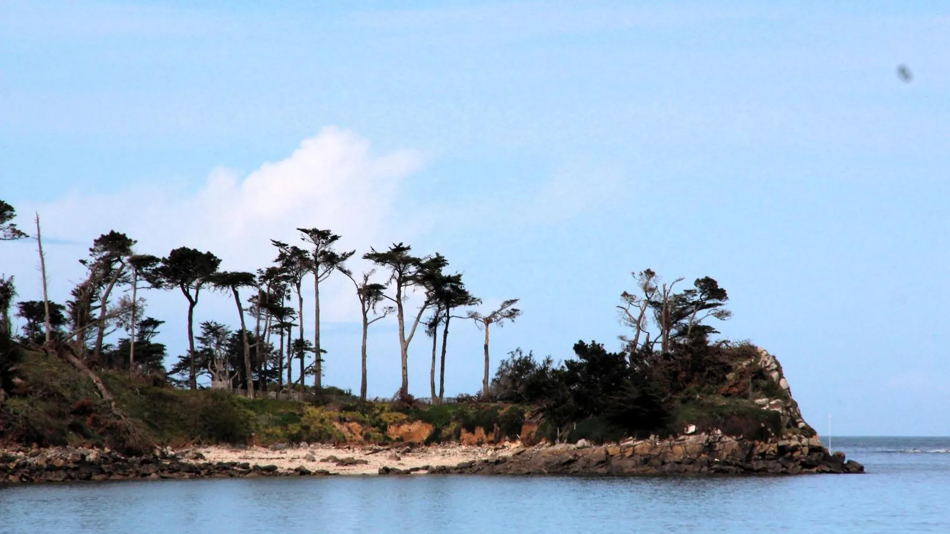 La Madrague - Front De Mer, Acces Prive Plage Et Place De Parking Roscoff Lägenhet